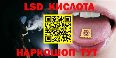 ПСИЛОЦИБИНОВЫЕ ГРИБЫ Гусев