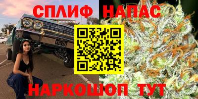 ПСИЛОЦИБИНОВЫЕ ГРИБЫ Гусев