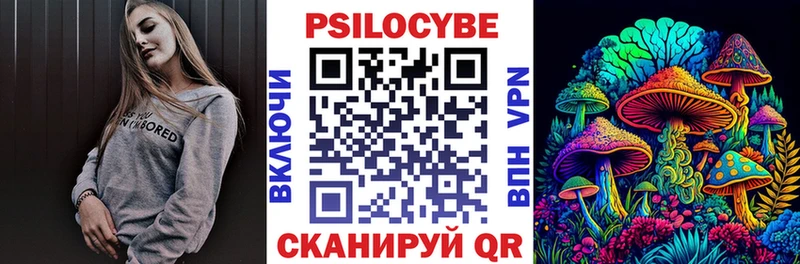 Псилоцибиновые грибы Psilocybine cubensis  Кисловодск 