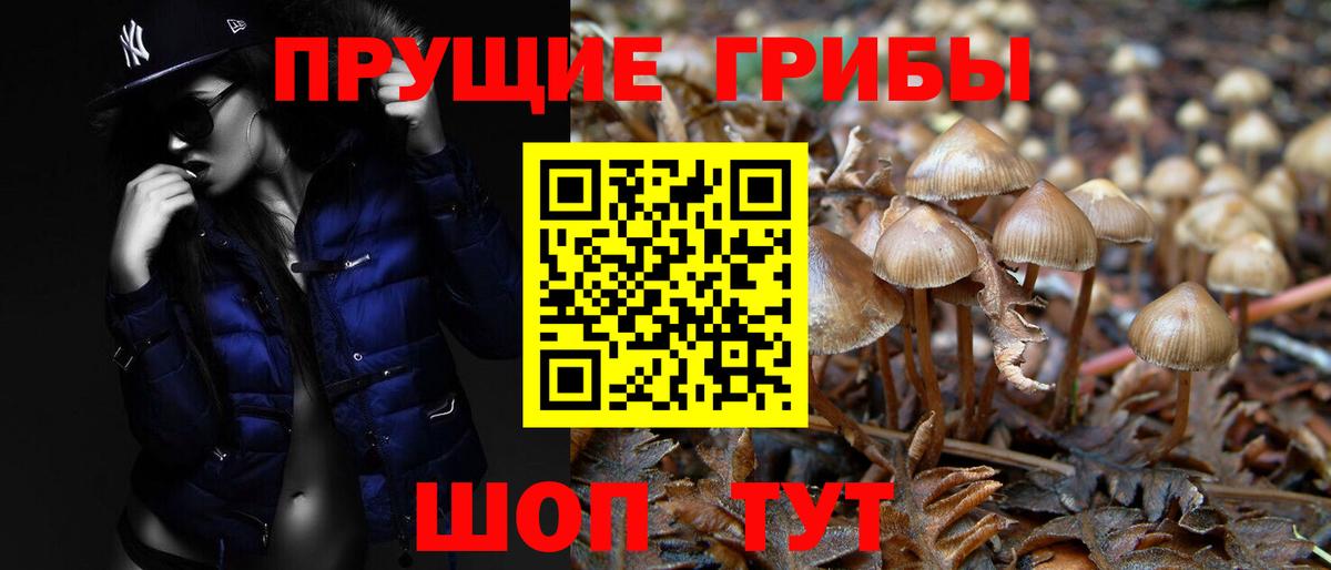 Кисловодск  Галлюциногенные грибы Magic Shrooms  Вход с VPN 